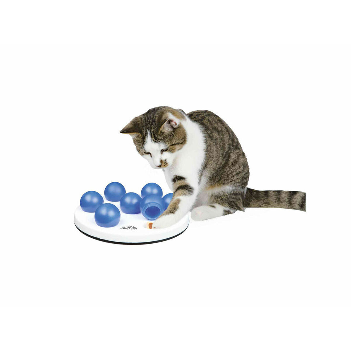 V4HEA8061727701A95D5FF97861BEF09EA3R5482784P1