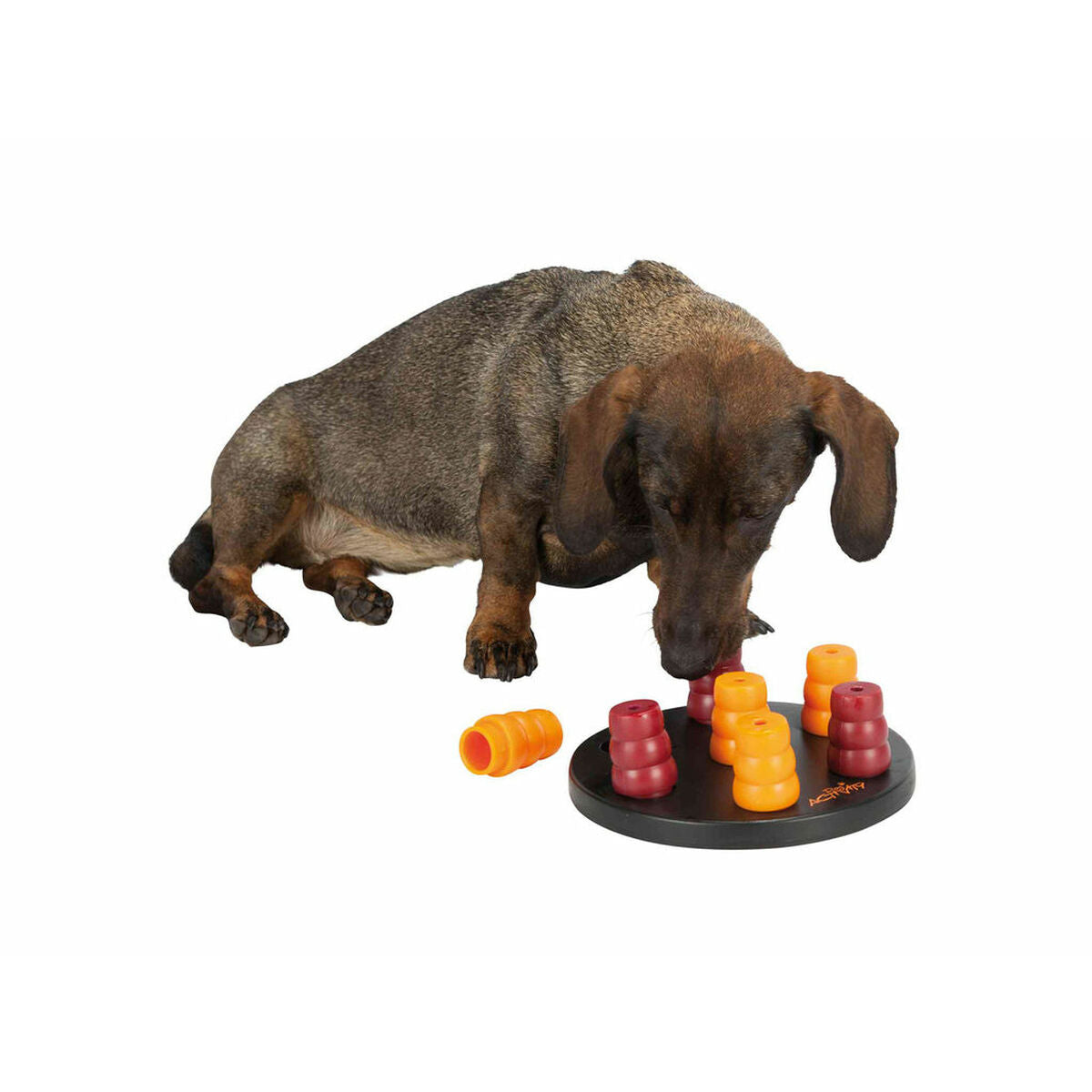 V4H781114253DAED1559C3FB316617288F6R5566272P3